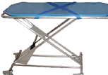 Our gas assisted transport table